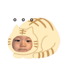 コウニャンの世界（個別スタンプ：14）
