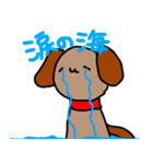 犬たちのにちじょー（個別スタンプ：8）