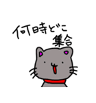 犬たちのにちじょー（個別スタンプ：17）