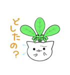 にゃでぃっしゅ（個別スタンプ：30）