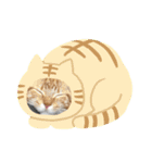 バロン！（個別スタンプ：3）