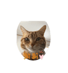 バロン！（個別スタンプ：4）