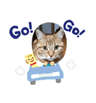 バロン！（個別スタンプ：9）