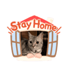 りるちゃんの日常スタンプ（個別スタンプ：2）