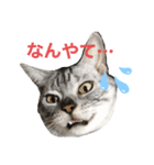 二代目マック①（個別スタンプ：1）