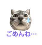 二代目マック①（個別スタンプ：7）