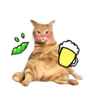 nyan2LIFE(haku)（個別スタンプ：6）