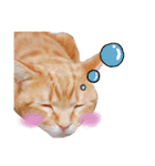 nyan2LIFE(haku)（個別スタンプ：8）