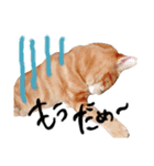 nyan2LIFE(haku)（個別スタンプ：18）