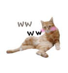 nyan2LIFE(haku)（個別スタンプ：22）