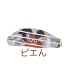 MYW日常会話★（個別スタンプ：2）