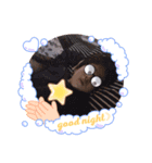 MYW日常会話★（個別スタンプ：4）