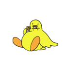 ぴぴの鳥となかまたち 3（個別スタンプ：2）