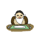 ぴぴの鳥となかまたち 3（個別スタンプ：3）