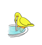 ぴぴの鳥となかまたち 3（個別スタンプ：4）
