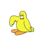 ぴぴの鳥となかまたち 3（個別スタンプ：13）