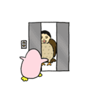 ぴぴの鳥となかまたち 3（個別スタンプ：16）