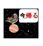 鳥や花で会話しよう（個別スタンプ：6）