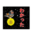 鳥や花で会話しよう（個別スタンプ：9）
