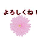 鳥や花で会話しよう（個別スタンプ：15）