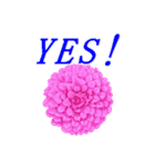 鳥や花で会話しよう（個別スタンプ：17）