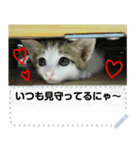 ねこのみやび（ハートいっぱいver.）（個別スタンプ：9）