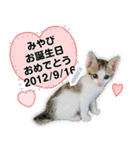 ねこのみやび（ハートいっぱいver.）（個別スタンプ：21）