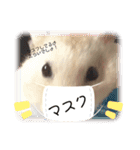 ぷーのん（個別スタンプ：1）