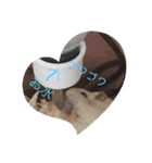 ぷーのん（個別スタンプ：11）