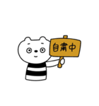 おうちで過ごそう！しまくま（個別スタンプ：10）