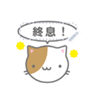 書きかえられるメッセージ猫ちゃん（個別スタンプ：20）