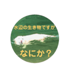 ラブラドールのメルモ2（個別スタンプ：5）