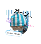 わんこの日常 マルプー（個別スタンプ：17）