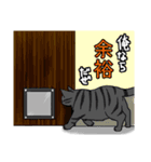 でぶにゃんズ（個別スタンプ：6）