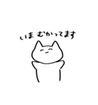 何も考えてなさそうなネコ（個別スタンプ：21）