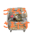 日常ぴーたす（個別スタンプ：13）