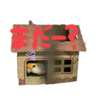 日常ぴーたす（個別スタンプ：15）