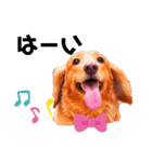 ライムライム（個別スタンプ：1）