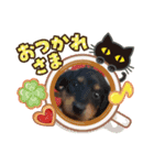 可愛い犬です。（個別スタンプ：5）