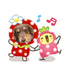 可愛い犬です。（個別スタンプ：16）