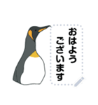ラクガキ動物園37 【ペンギン4】（個別スタンプ：1）