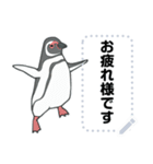 ラクガキ動物園37 【ペンギン4】（個別スタンプ：4）