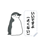 ラクガキ動物園37 【ペンギン4】（個別スタンプ：13）