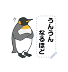 ラクガキ動物園37 【ペンギン4】（個別スタンプ：20）