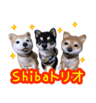 可愛い羊毛フェルト・愛犬’s（個別スタンプ：3）