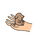 犬と手（個別スタンプ：2）