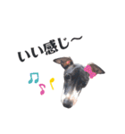 イタグレのリッキィ！（個別スタンプ：11）