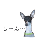 イタグレのリッキィ！（個別スタンプ：17）