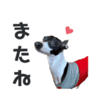 イタグレのリッキィ！（個別スタンプ：23）