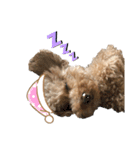 ミスターるい。（個別スタンプ：2）